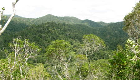 Mantadia Nationalpark