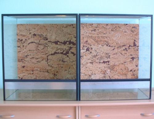 Terrarienrückwand