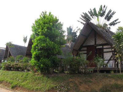 Forest Lodge im Mantadia Park