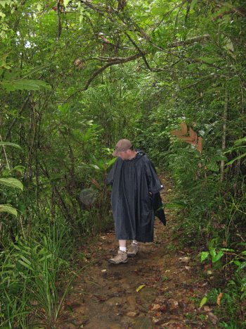 mit Poncho durch den Regenwald